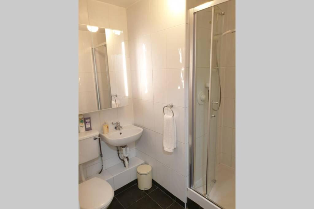 Large 3 Bed, Galway City Centre Apartman Kültér fotó